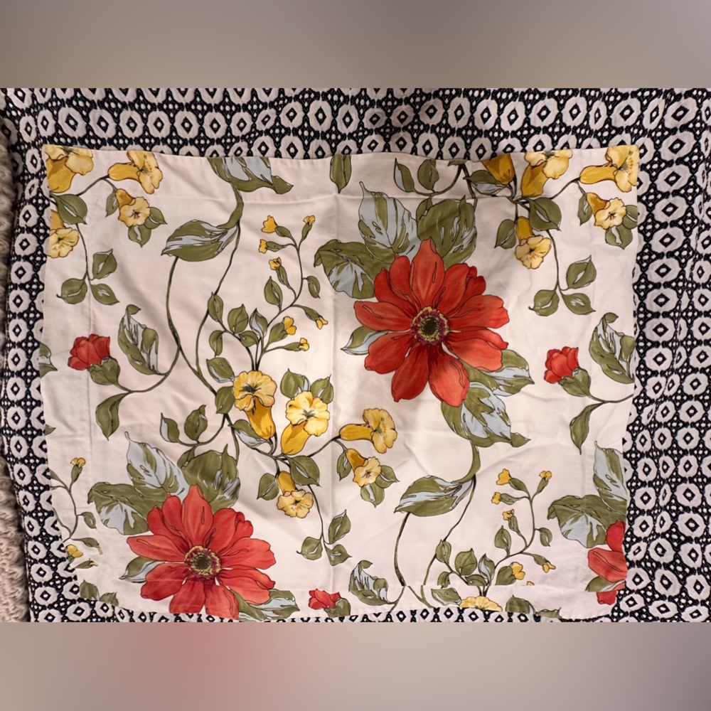 2 Pottery Barn Standard Shams